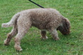 DSC_1091.JPG