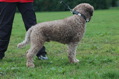 DSC_1116.JPG