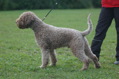 DSC_1161.JPG