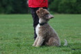 DSC_1287.JPG