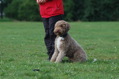 DSC_1290.JPG