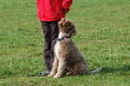 DSC_1304.JPG