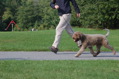 DSC_1432.JPG