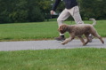 DSC_1452.JPG