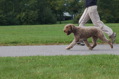 DSC_1467.JPG