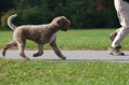 DSC_1481.JPG