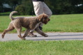 DSC_1484.JPG