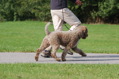 DSC_1486.JPG
