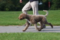 DSC_1492.JPG