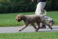 DSC_1494.JPG