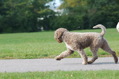 DSC_1506.JPG