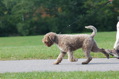 DSC_1507.JPG