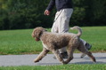 DSC_1527.JPG