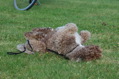 DSC_1565.JPG