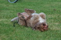 DSC_1567.JPG